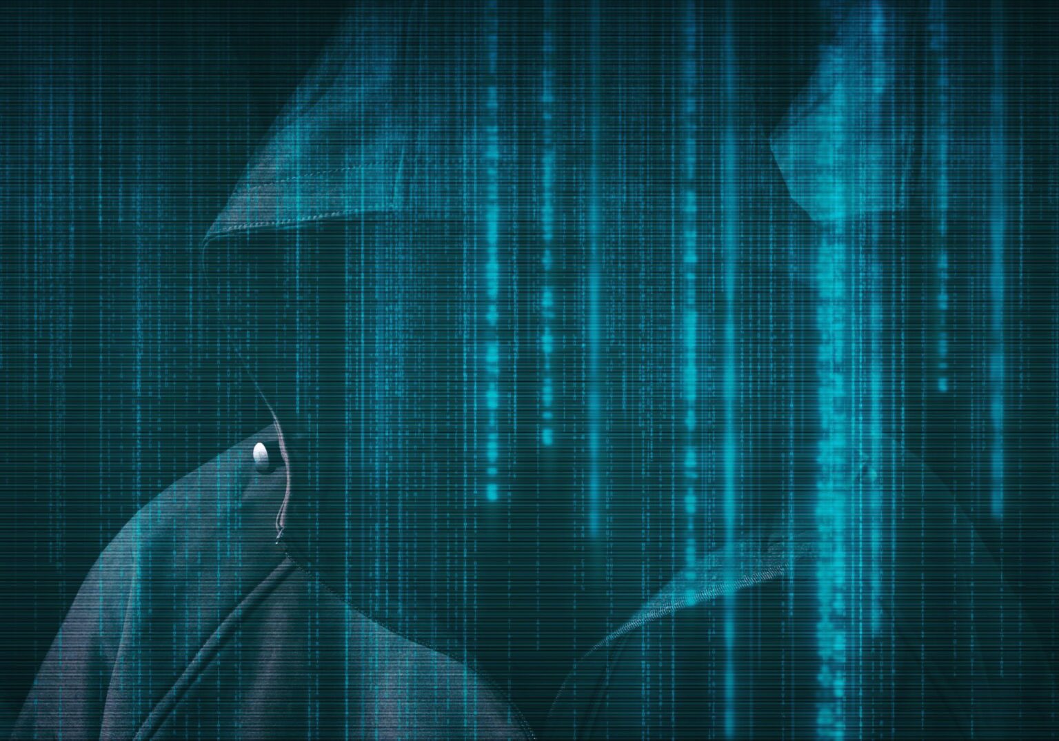 Me han hackeado la web: cómo limpiar tu WordPress paso a paso